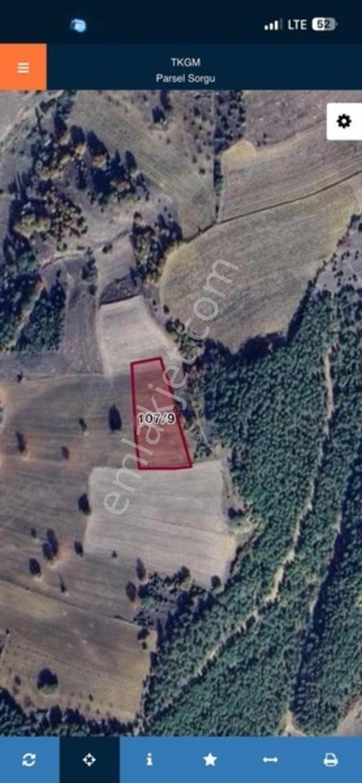 Banaz Düzlüce Köylü 4428m2 Asfalta 350 M Tarla — fotoğraf 3