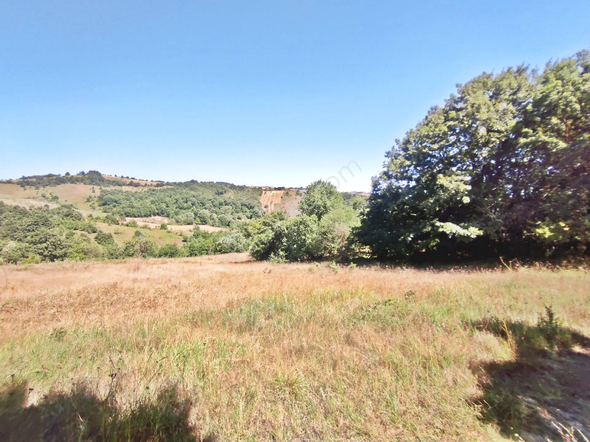 Yenişehir Kirazlı Yayala Da Doğa Manzaralı - 2378 -m2- Tarla — fotoğraf 2