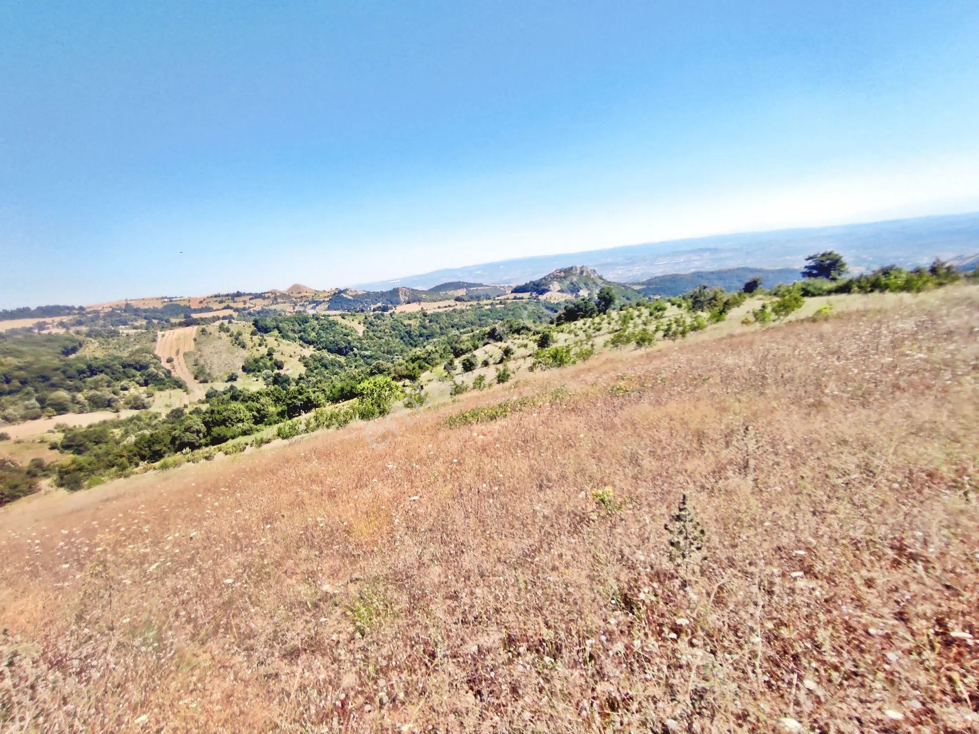Yenişehir Kirazlı Yayala Da Doğa Manzaralı - 2378 -m2- Tarla — fotoğraf 4