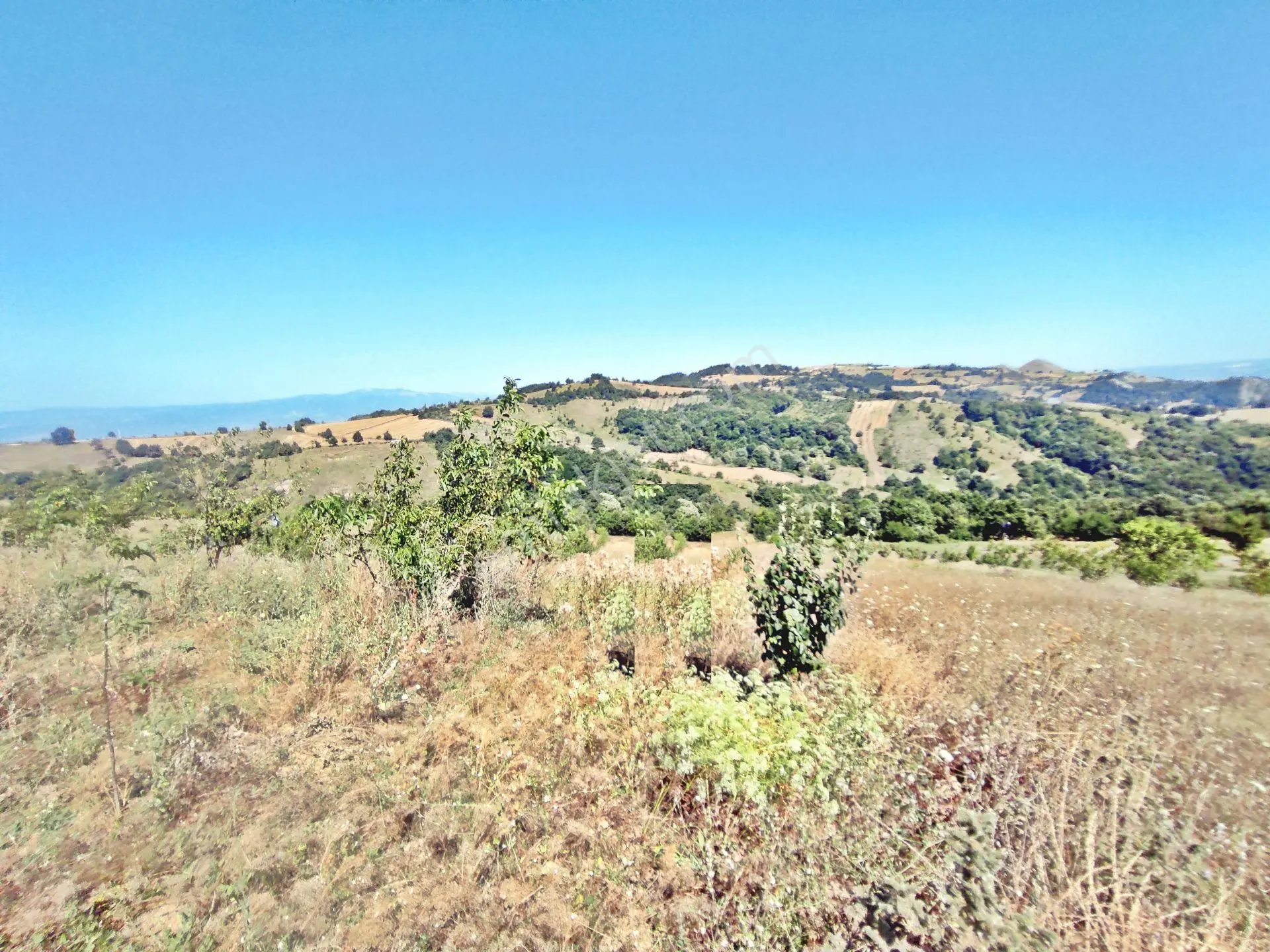 Yenişehir Kirazlı Yayala Da Doğa Manzaralı - 2378 -m2- Tarla — fotoğraf 10