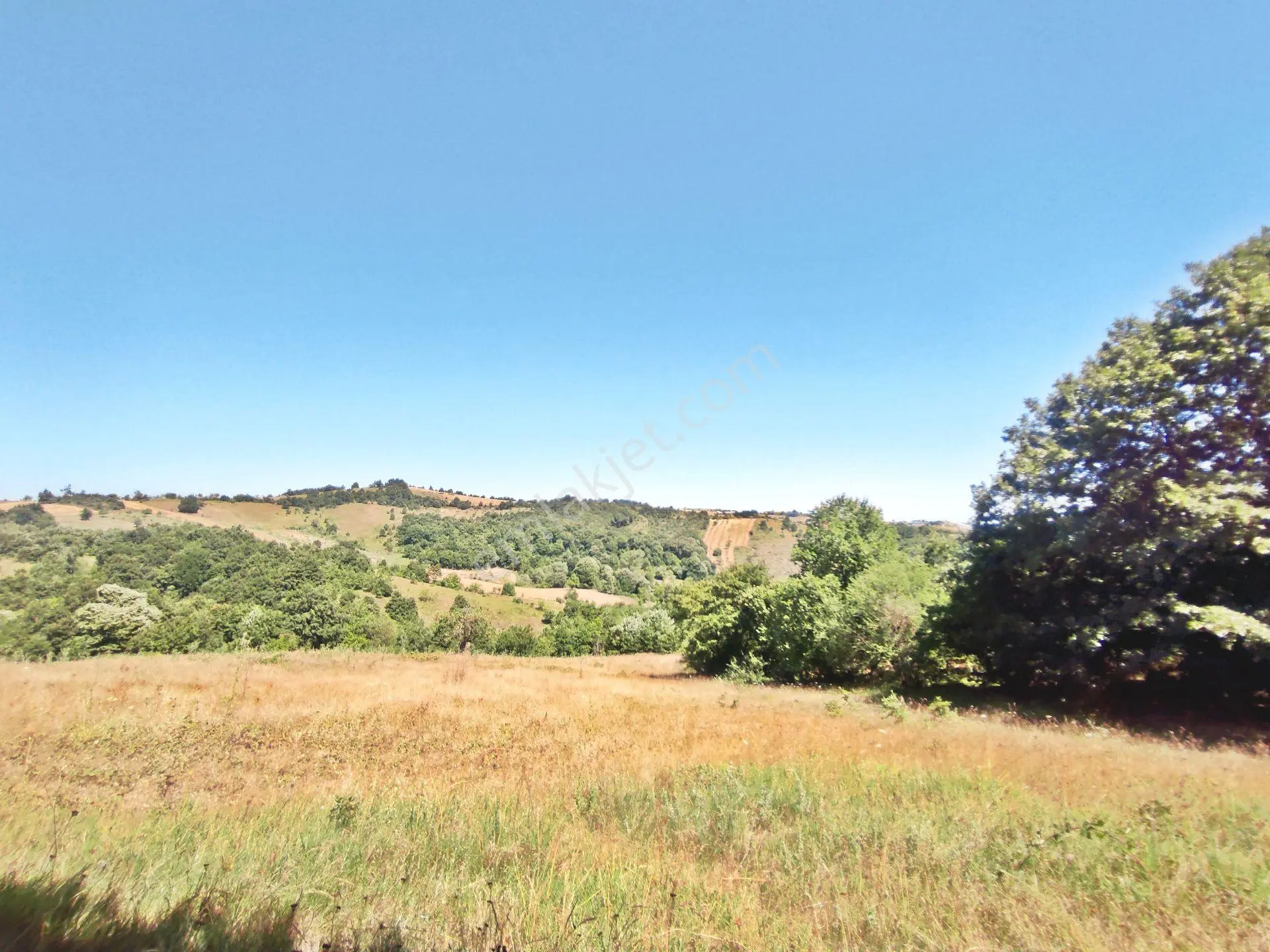 Yenişehir Kirazlı Yayala Da Doğa Manzaralı - 2378 -m2- Tarla — fotoğraf 11