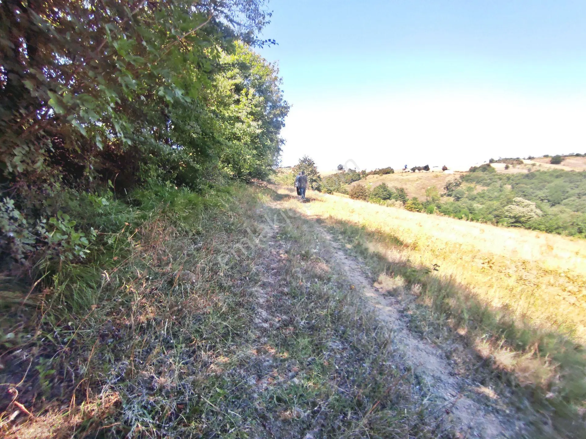 Yenişehir Kirazlı Yayala Da Doğa Manzaralı - 2378 -m2- Tarla — fotoğraf 12