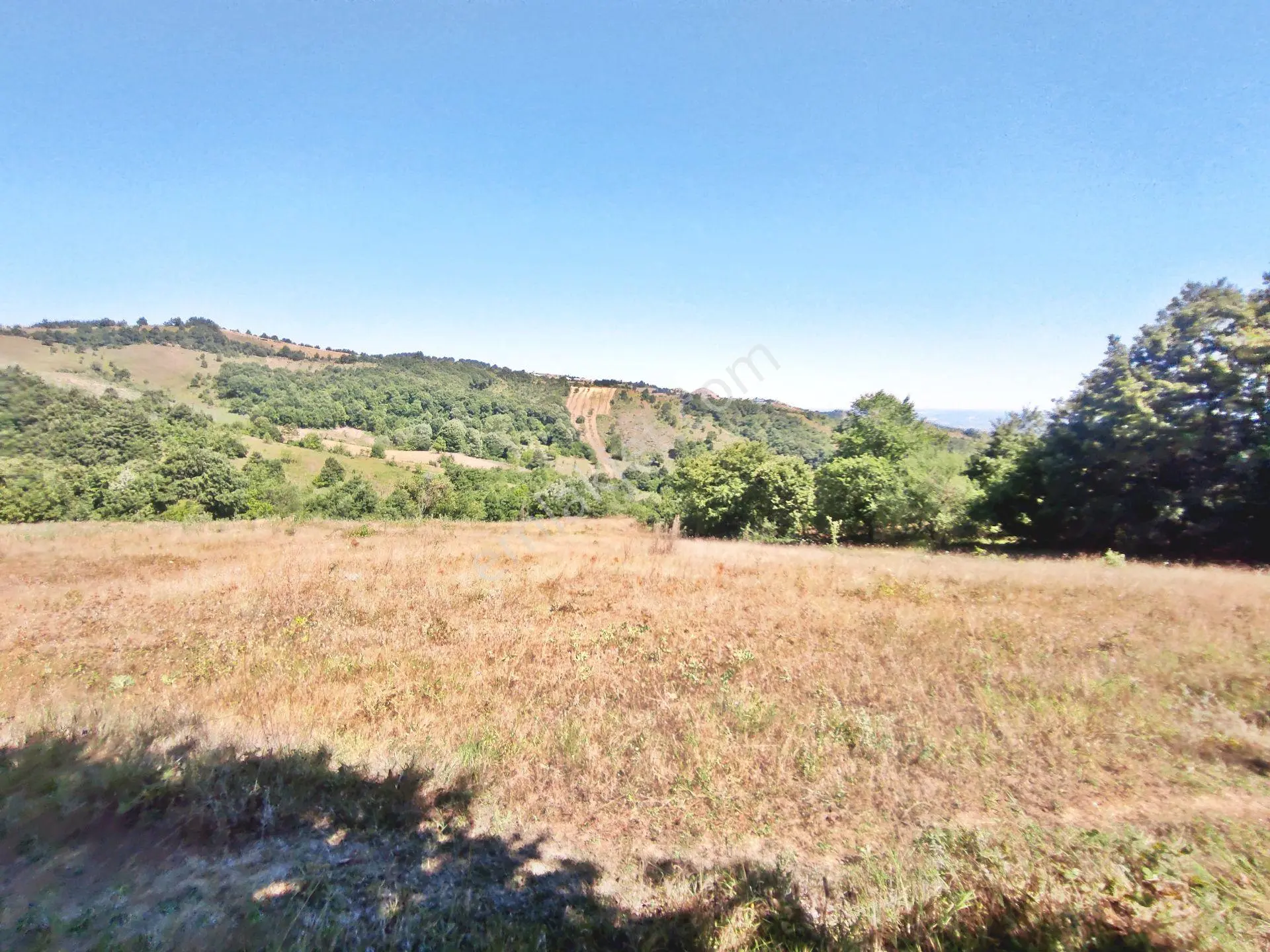 Yenişehir Kirazlı Yayala Da Doğa Manzaralı - 2378 -m2- Tarla — fotoğraf 13