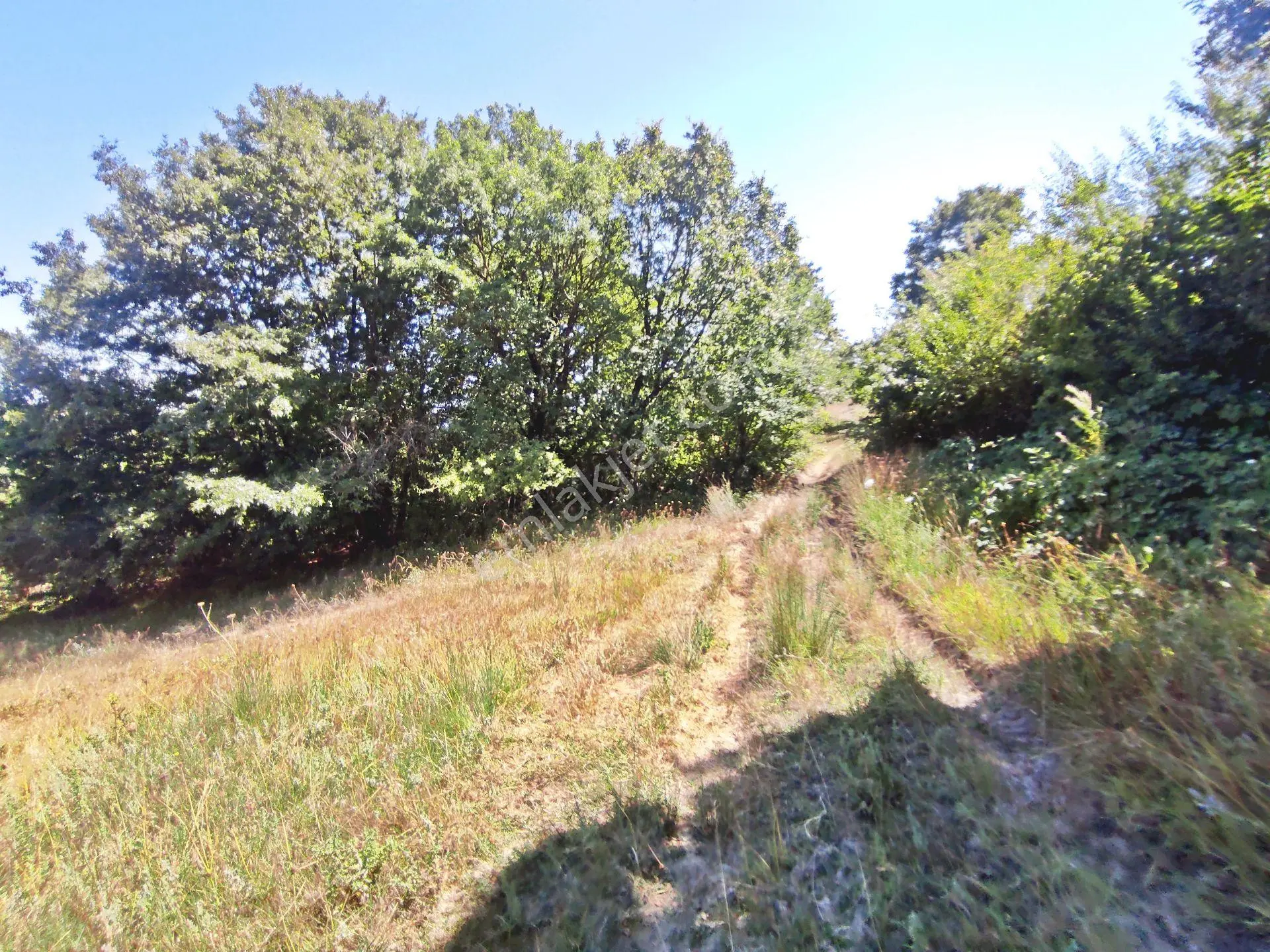 Yenişehir Kirazlı Yayala Da Doğa Manzaralı - 2378 -m2- Tarla — fotoğraf 14