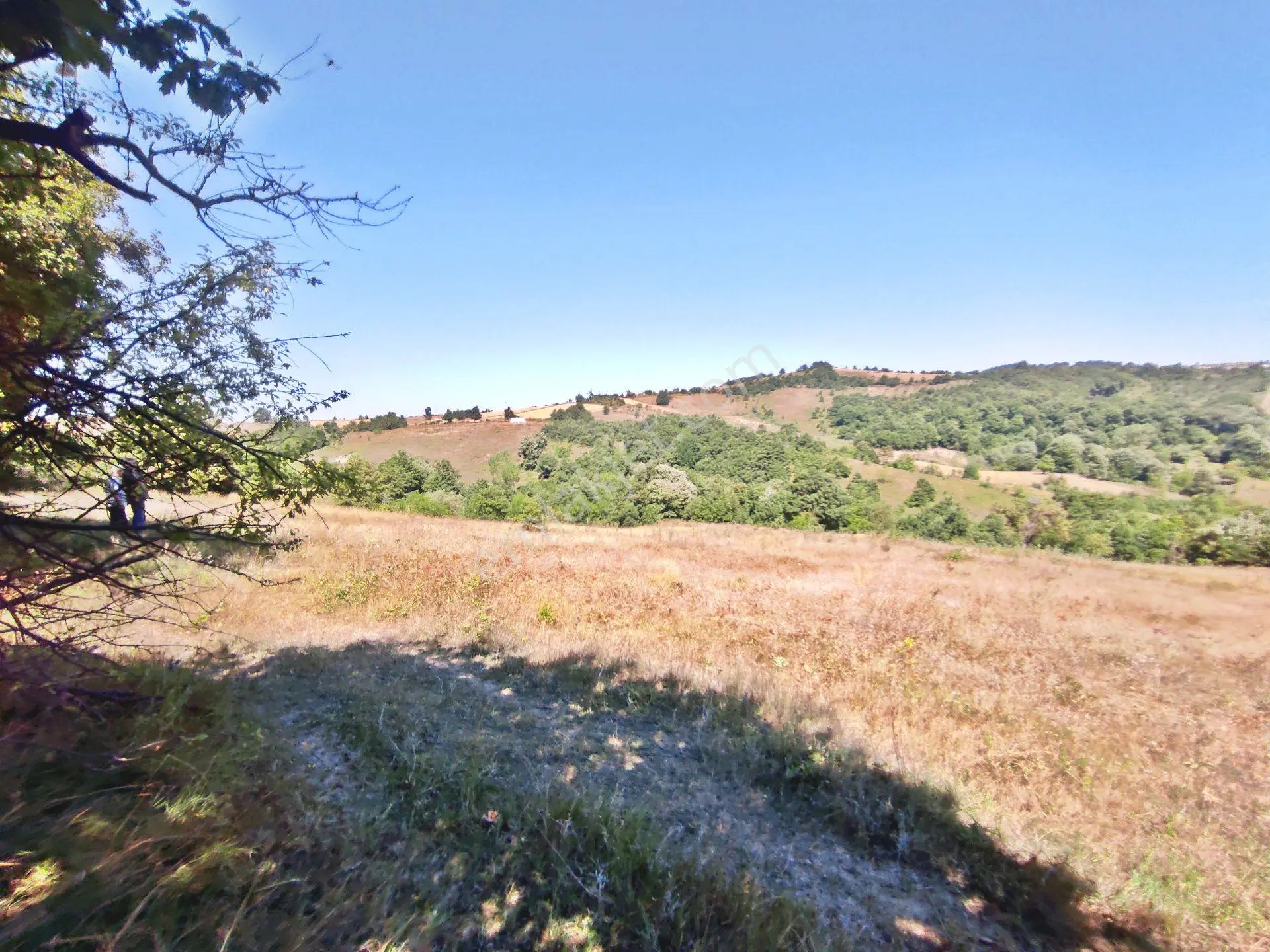 Yenişehir Kirazlı Yayala Da Doğa Manzaralı - 2378 -m2- Tarla — fotoğraf 17