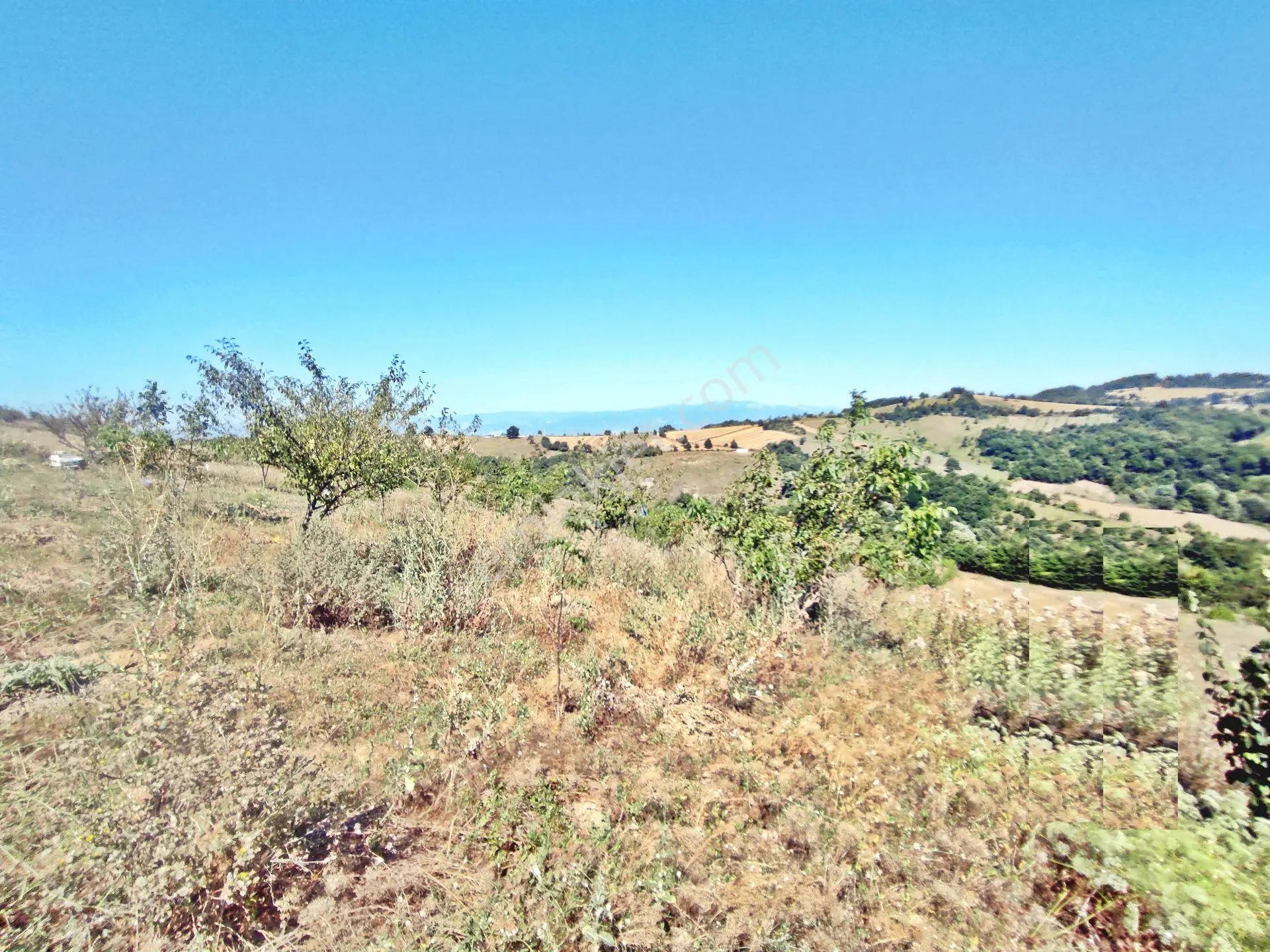 Yenişehir Kirazlı Yayala Da Doğa Manzaralı - 2378 -m2- Tarla — fotoğraf 21