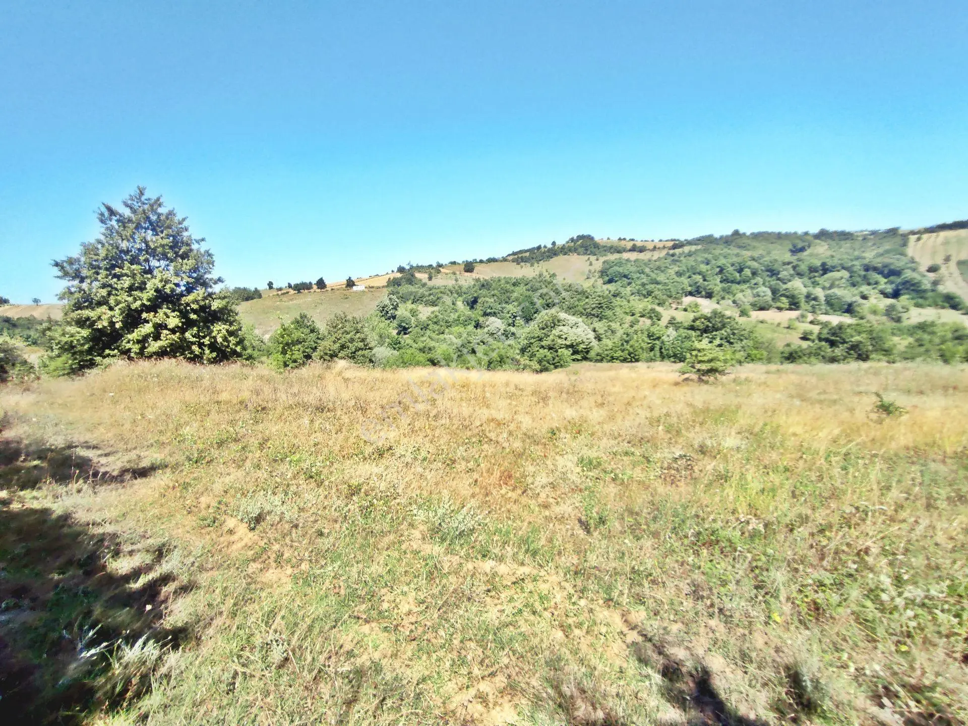 Yenişehir Kirazlı Yayala Da Doğa Manzaralı - 2378 -m2- Tarla — fotoğraf 22