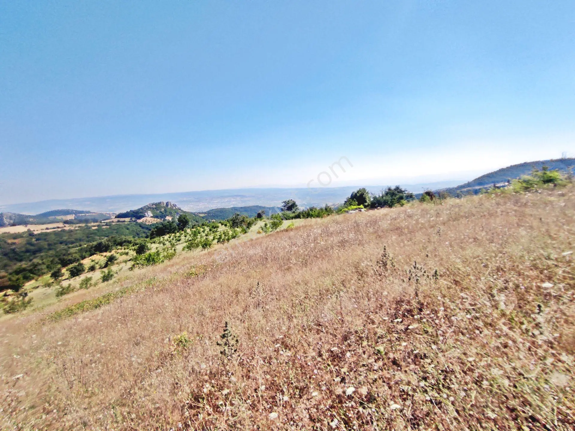 Yenişehir Kirazlı Yayala Da Doğa Manzaralı - 2378 -m2- Tarla — fotoğraf 26