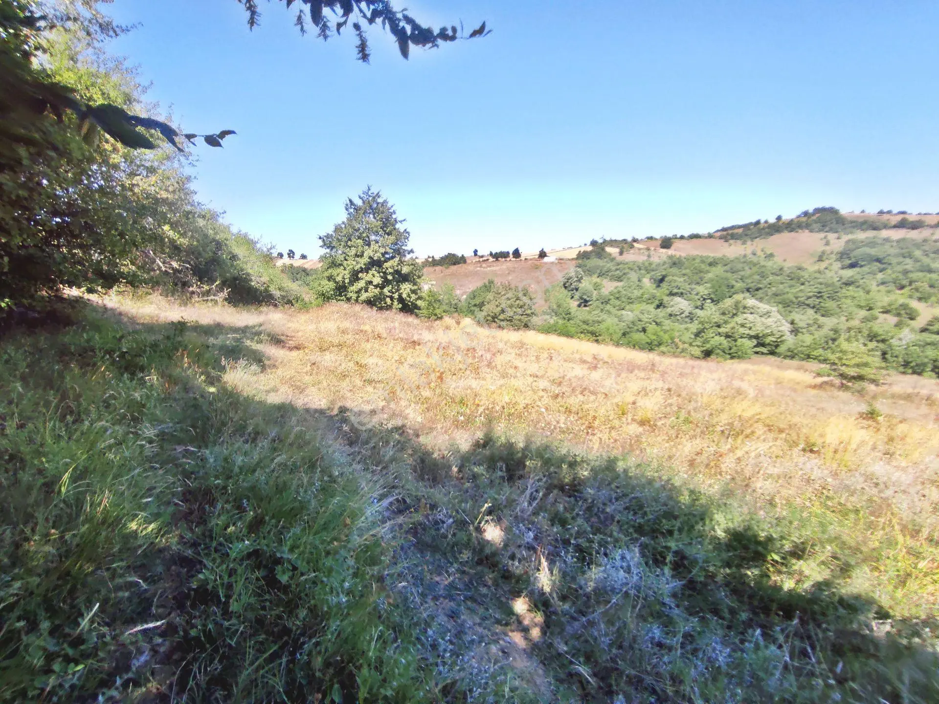 Yenişehir Kirazlı Yayala Da Doğa Manzaralı - 2378 -m2- Tarla — fotoğraf 28