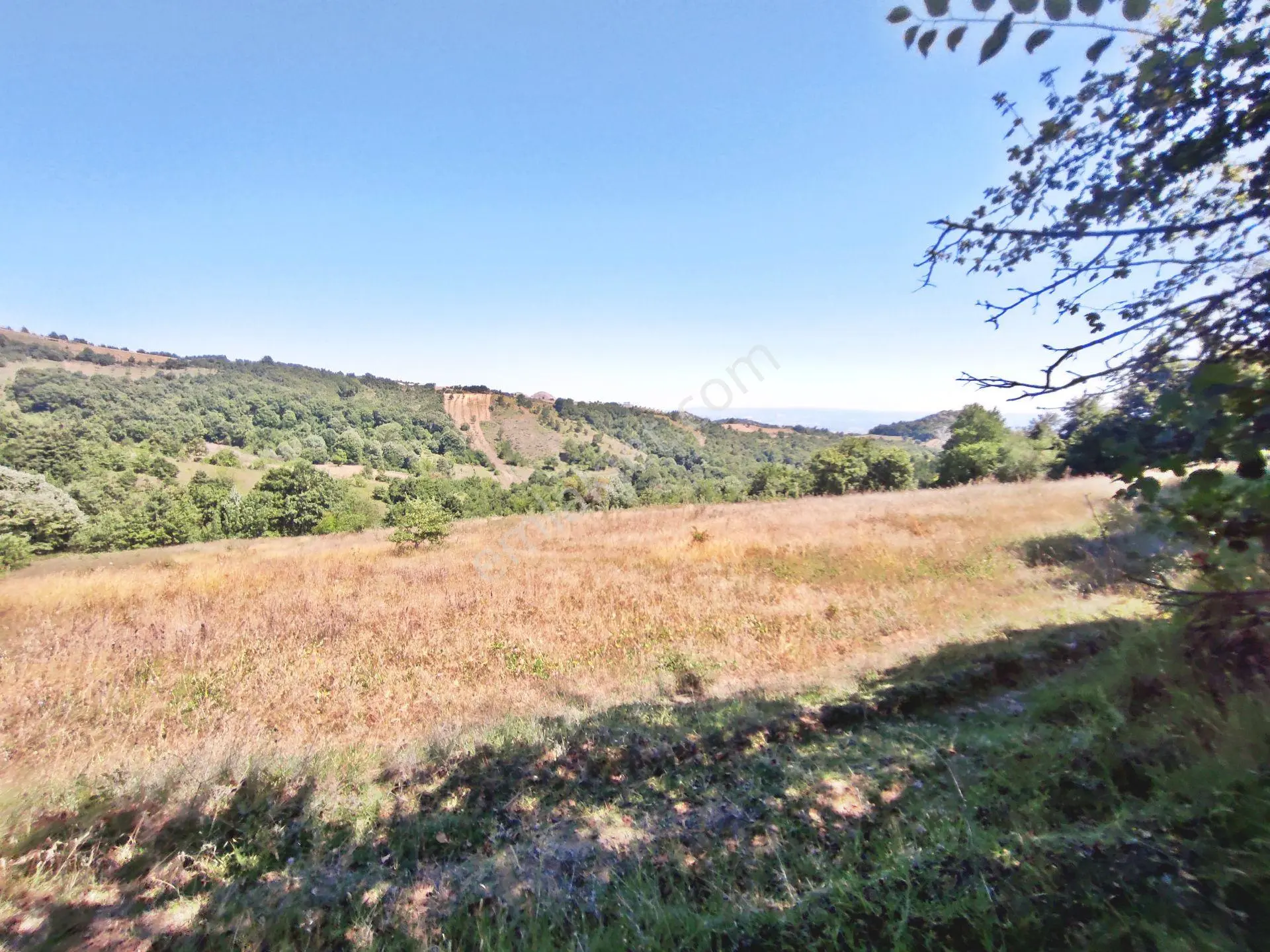 Yenişehir Kirazlı Yayala Da Doğa Manzaralı - 2378 -m2- Tarla — fotoğraf 29