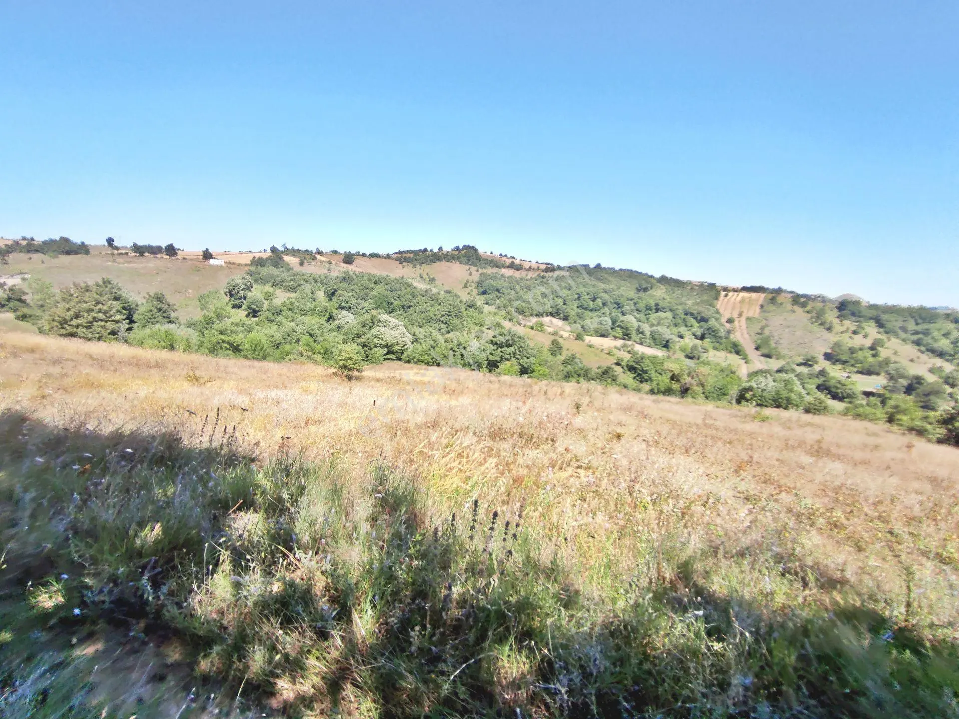 Yenişehir Kirazlı Yayala Da Doğa Manzaralı - 2378 -m2- Tarla — fotoğraf 31