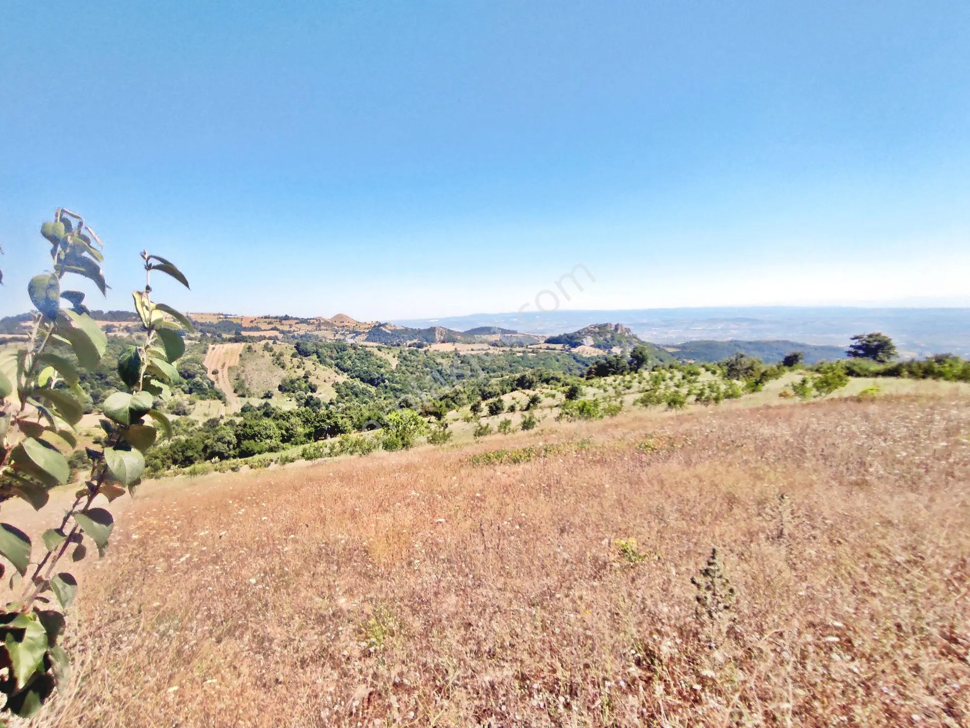 Yenişehir Kirazlı Yayala Da Doğa Manzaralı - 2378 -m2- Tarla — fotoğraf 33