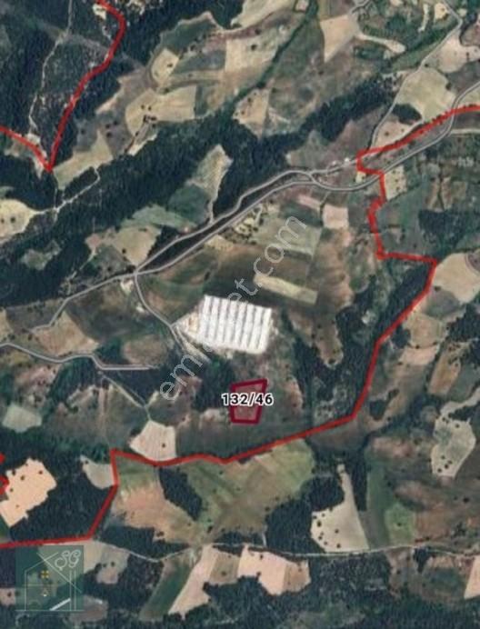 Acil Satılık Geyve Poydularda Elektrik Su Yol Var Satılık Arazi — fotoğraf 2