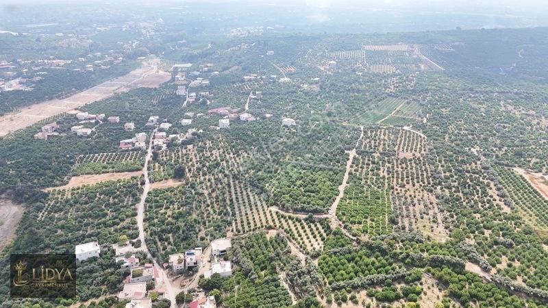 Erdemli Çiftepınar 5 Dönüm Satılık Limon Bahçesi — fotoğraf 5