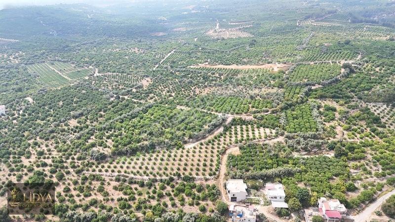 Erdemli Çiftepınar 5 Dönüm Satılık Limon Bahçesi — fotoğraf 6