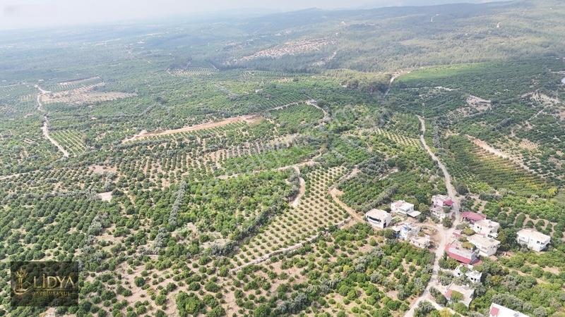 Erdemli Çiftepınar 5 Dönüm Satılık Limon Bahçesi — fotoğraf 7