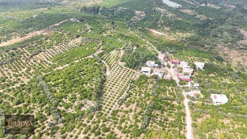 Erdemli Çiftepınar 5 Dönüm Satılık Limon Bahçesi — fotoğraf 8