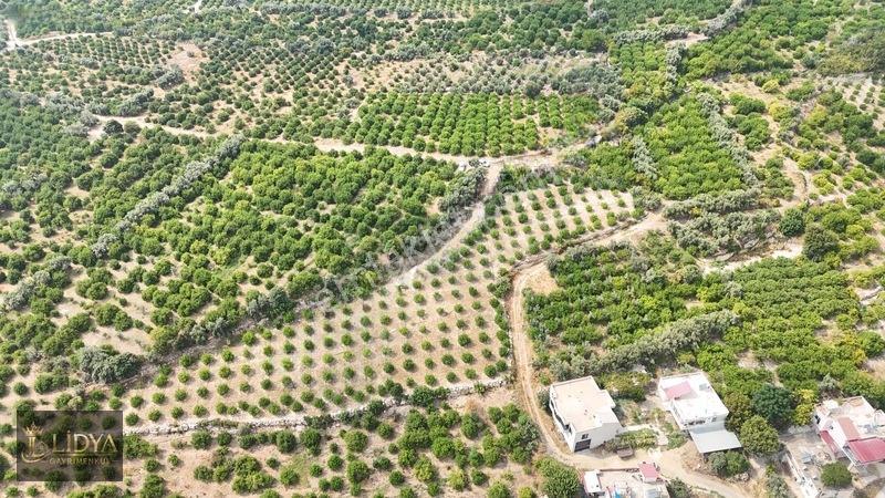 Erdemli Çiftepınar 5 Dönüm Satılık Limon Bahçesi — fotoğraf 9