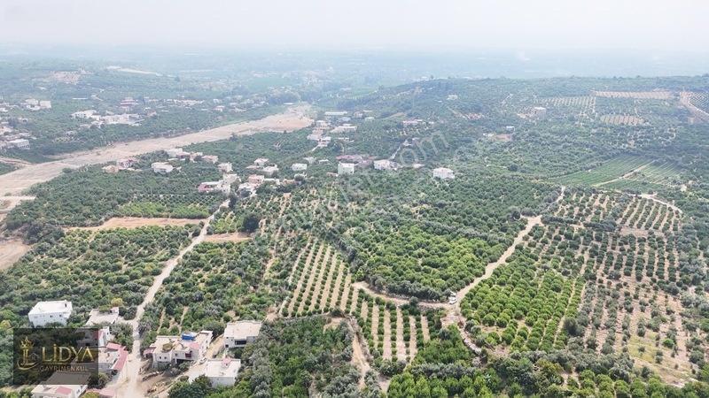 Erdemli Çiftepınar 5 Dönüm Satılık Limon Bahçesi — fotoğraf 10