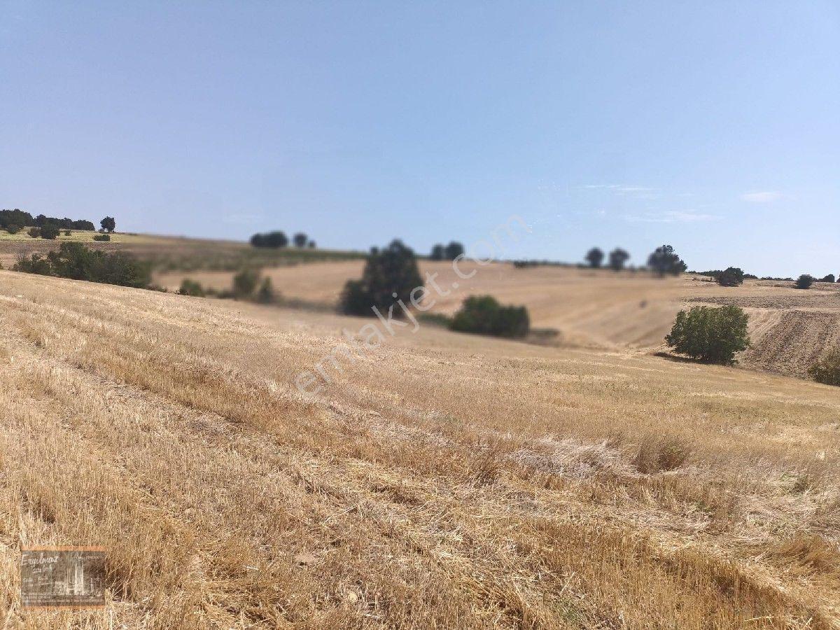 Satılık Kırklareli Pınarhisar Poyrazlı Köyünde — fotoğraf 6