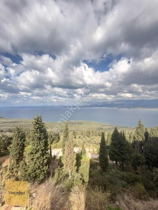 Mayadan Gyo Edincik Tokide Ara Kat Full Deniz Manzaralı Daire — fotoğraf 4