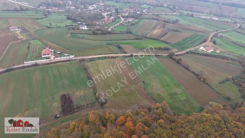 Kerpe Sahiline 2 Km | 6.758 M² | %5 İmarlı | Yola Cephe