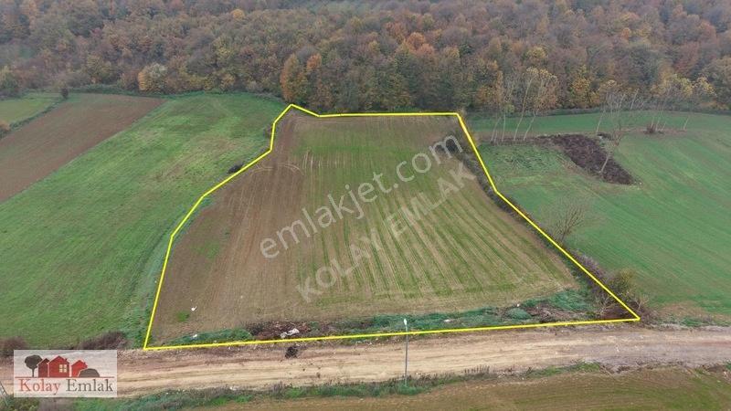 Kerpe Sahiline 2 Km | 6.758 M² | %5 İmarlı | Yola Cephe — fotoğraf 2