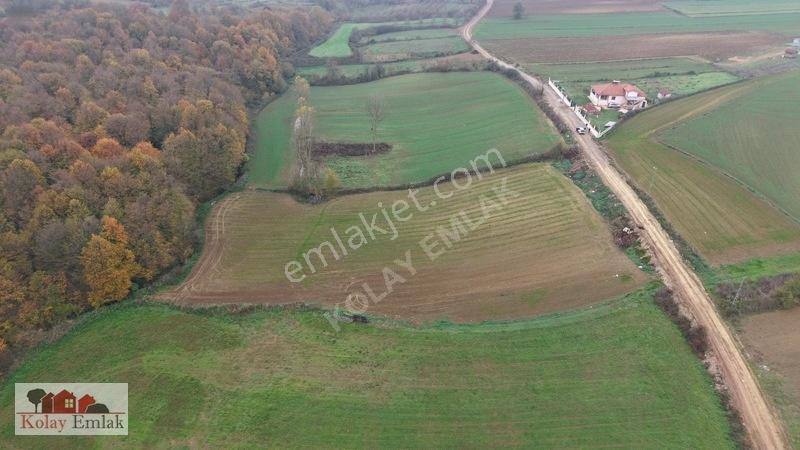 Kerpe Sahiline 2 Km | 6.758 M² | %5 İmarlı | Yola Cephe — fotoğraf 3