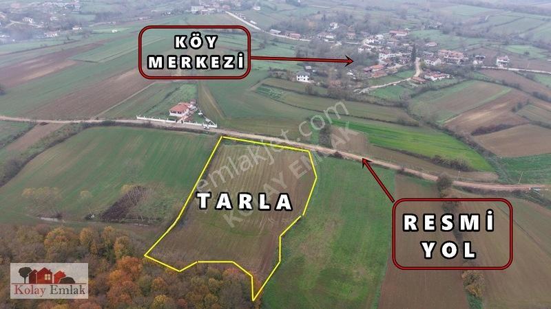 Kerpe Sahiline 2 Km | 6.758 M² | %5 İmarlı | Yola Cephe — fotoğraf 4