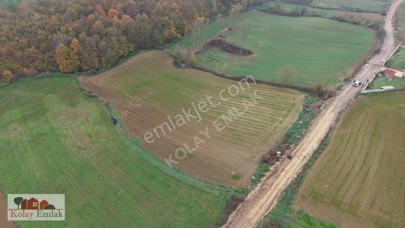 Kerpe Sahiline 2 Km | 6.758 M² | %5 İmarlı | Yola Cephe — fotoğraf 5