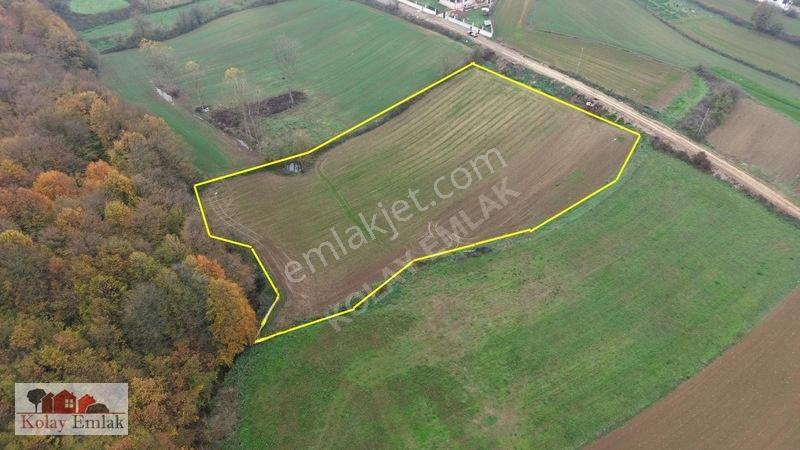 Kerpe Sahiline 2 Km | 6.758 M² | %5 İmarlı | Yola Cephe — fotoğraf 6