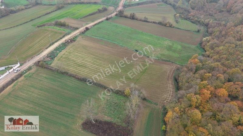 Kerpe Sahiline 2 Km | 6.758 M² | %5 İmarlı | Yola Cephe — fotoğraf 7