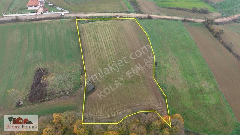 Kerpe Sahiline 2 Km | 6.758 M² | %5 İmarlı | Yola Cephe — fotoğraf 8