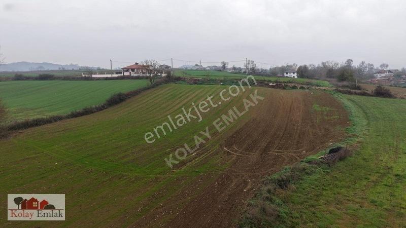 Kerpe Sahiline 2 Km | 6.758 M² | %5 İmarlı | Yola Cephe — fotoğraf 9