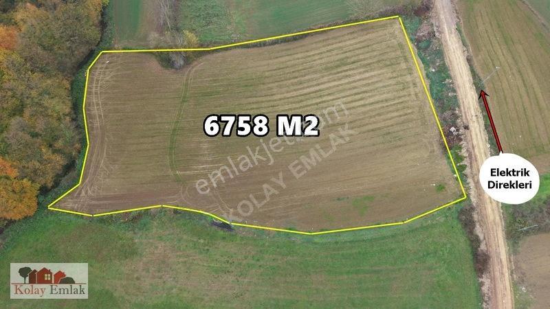 Kerpe Sahiline 2 Km | 6.758 M² | %5 İmarlı | Yola Cephe — fotoğraf 10