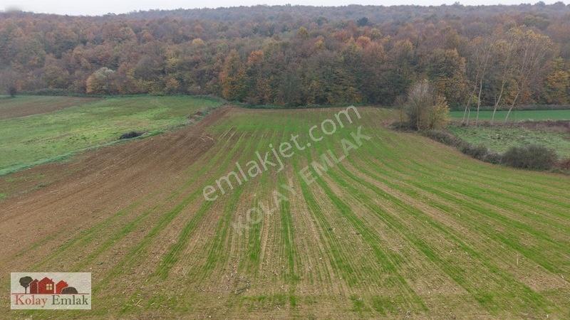 Kerpe Sahiline 2 Km | 6.758 M² | %5 İmarlı | Yola Cephe — fotoğraf 11