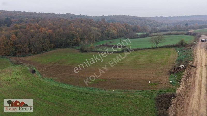Kerpe Sahiline 2 Km | 6.758 M² | %5 İmarlı | Yola Cephe — fotoğraf 12