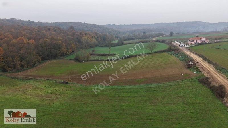 Kerpe Sahiline 2 Km | 6.758 M² | %5 İmarlı | Yola Cephe — fotoğraf 13