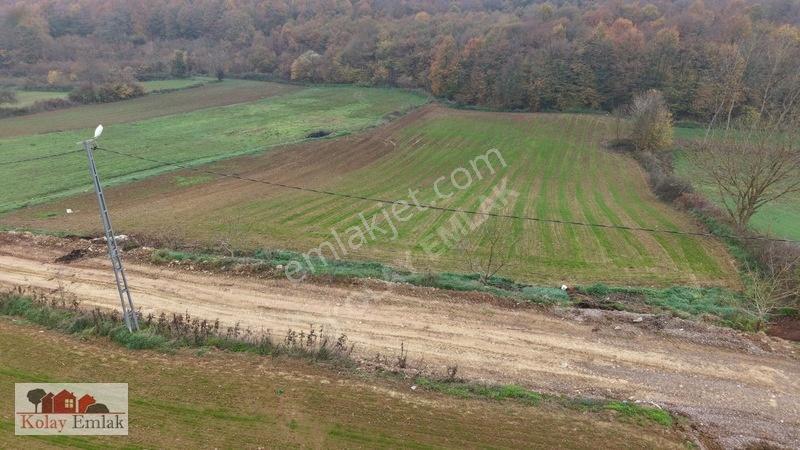 Kerpe Sahiline 2 Km | 6.758 M² | %5 İmarlı | Yola Cephe — fotoğraf 14