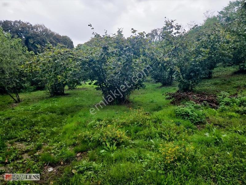 Erenler Şükriyede İmara 200m 4732m2 Fırsat Arazi — fotoğraf 14