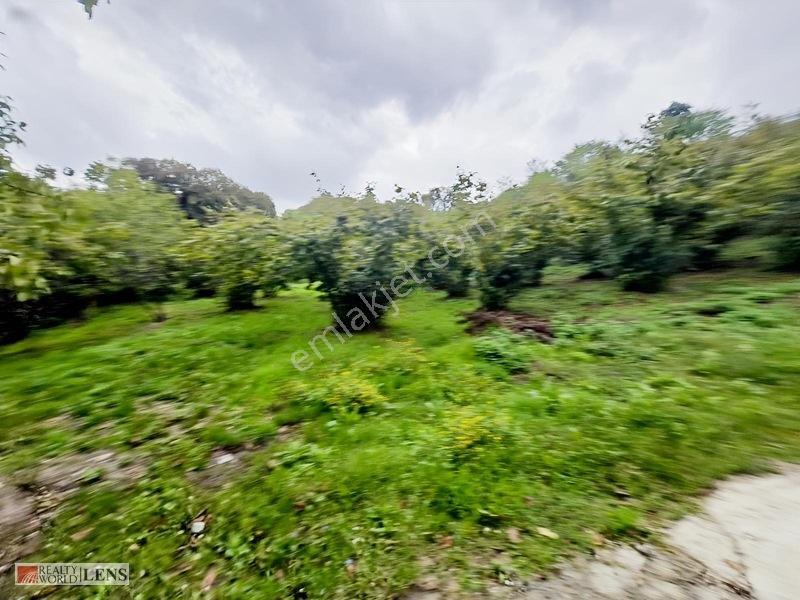 Erenler Şükriyede İmara 200m 4732m2 Fırsat Arazi — fotoğraf 16