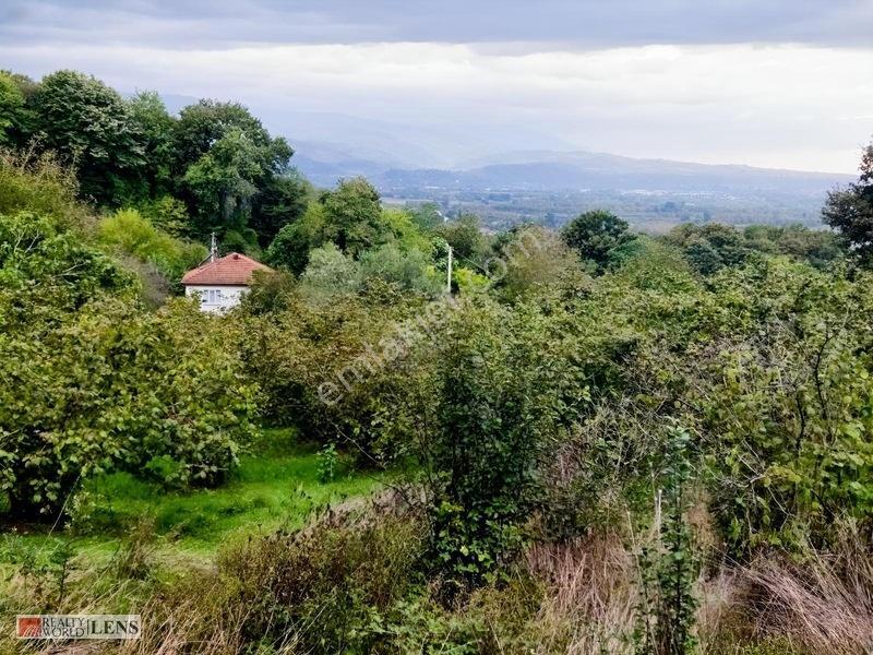 Erenler Şükriyede İmara 200m 4732m2 Fırsat Arazi — fotoğraf 29