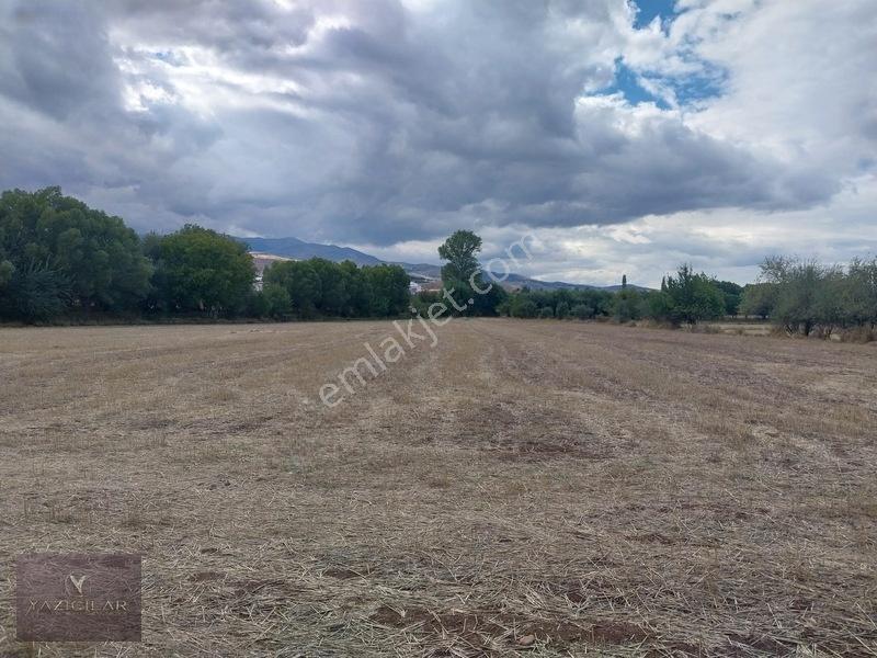 Kemalpaşa Mahallesi Ana Yola Yakın, Su Harklı 5.364M² Tarla