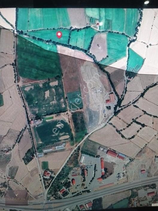 Kemalpaşa Mahallesi Ana Yola Yakın, Su Harklı 5.364m² Tarla — fotoğraf 3