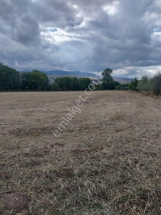 Kemalpaşa Mahallesi Ana Yola Yakın, Su Harklı 5.364m² Tarla — fotoğraf 5