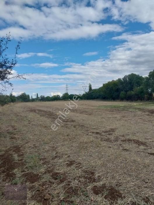 Kemalpaşa Mahallesi Ana Yola Yakın, Su Harklı 5.364m² Tarla — fotoğraf 6
