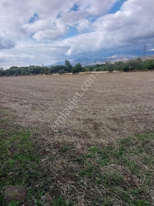 Kemalpaşa Mahallesi Ana Yola Yakın, Su Harklı 5.364m² Tarla — fotoğraf 9