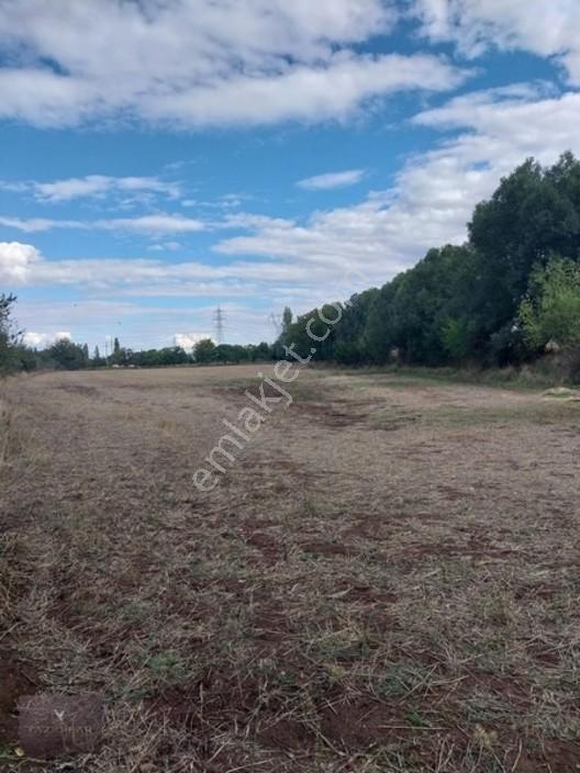 Kemalpaşa Mahallesi Ana Yola Yakın, Su Harklı 5.364m² Tarla — fotoğraf 10