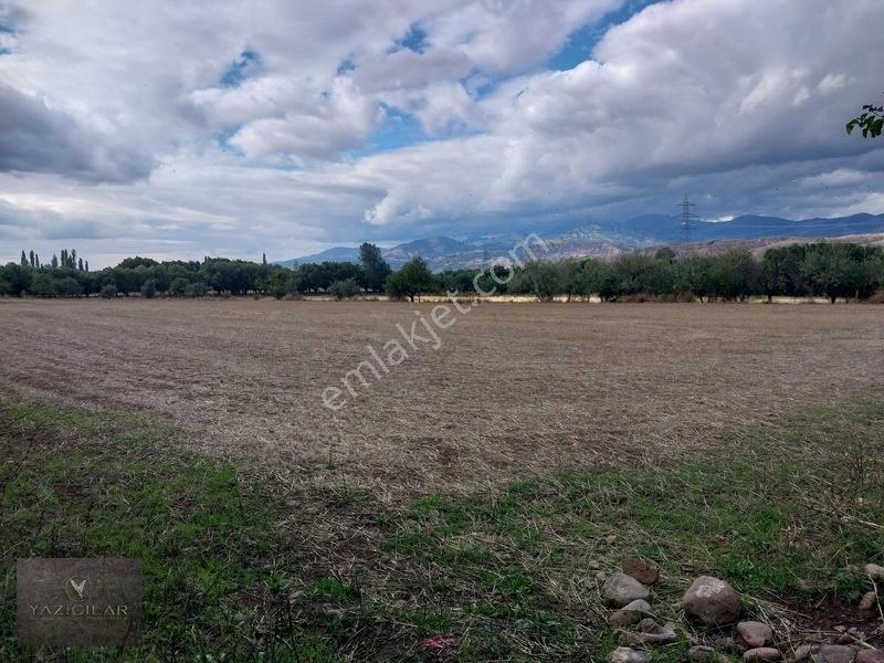 Kemalpaşa Mahallesi Ana Yola Yakın, Su Harklı 5.364m² Tarla — fotoğraf 11