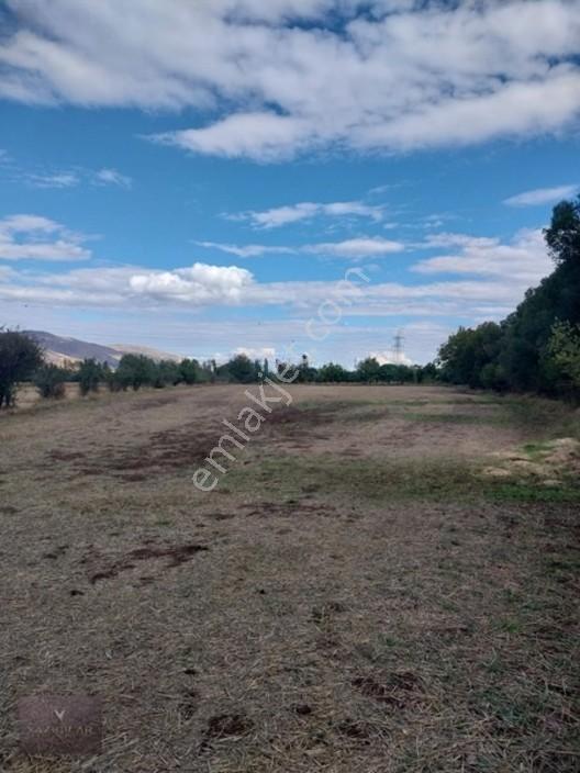 Kemalpaşa Mahallesi Ana Yola Yakın, Su Harklı 5.364m² Tarla — fotoğraf 12